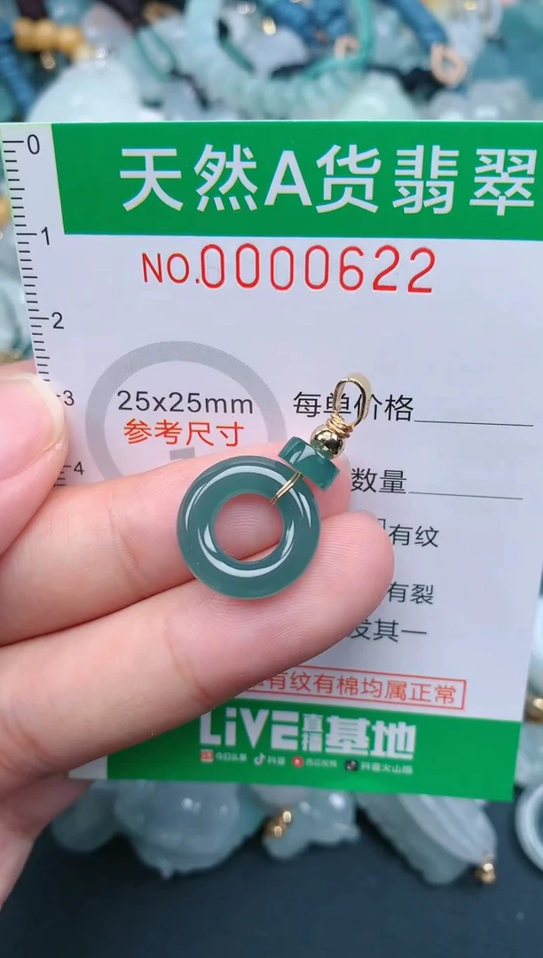 翡翠未镶嵌颈饰.0000622