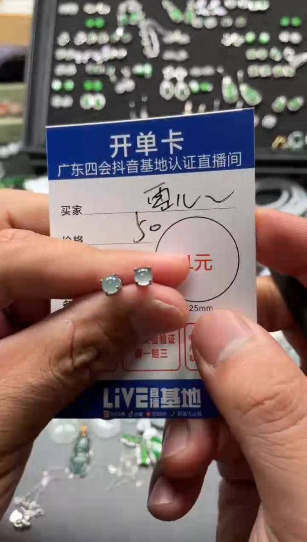 翡翠未镶嵌颈饰范*儿耳钉
