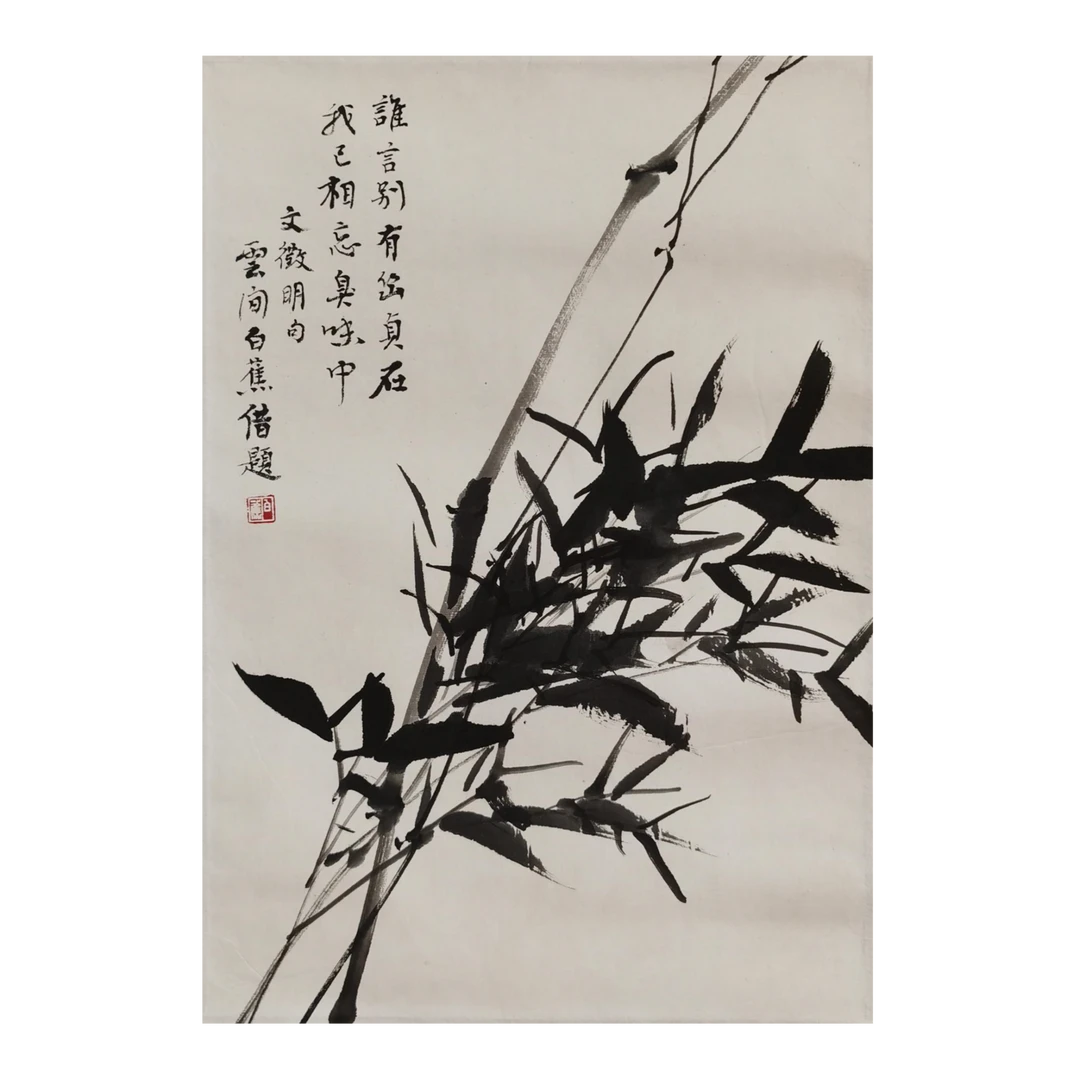 【辽拍】白先生-竹（0.8平尺）V240611-1-22
