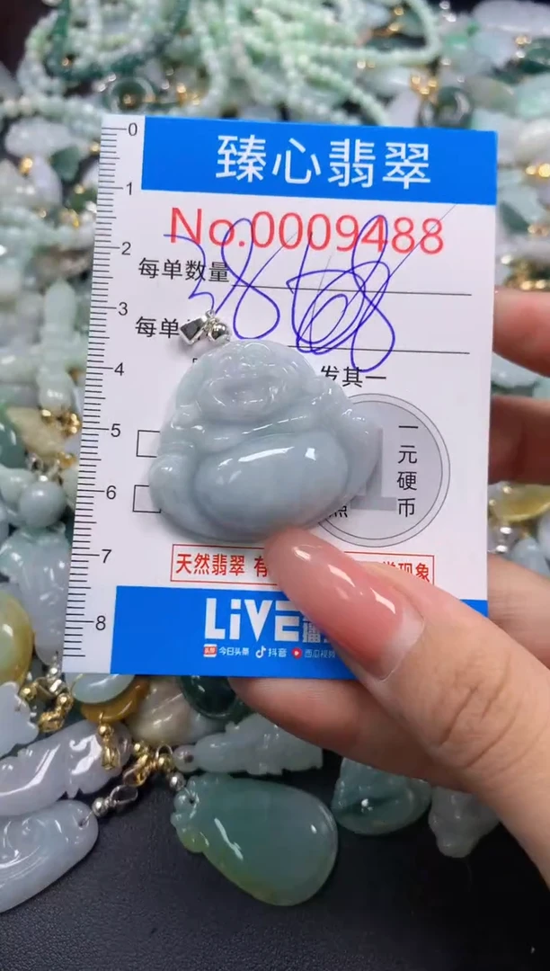 翡翠未镶嵌颈饰9488
