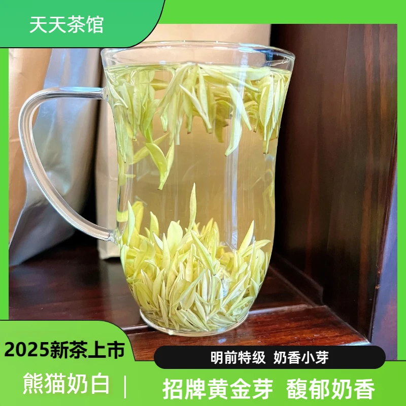 【招牌奶白茶】2025头采小芽熊猫奶白茶黄金芽安吉原产地送礼佳品