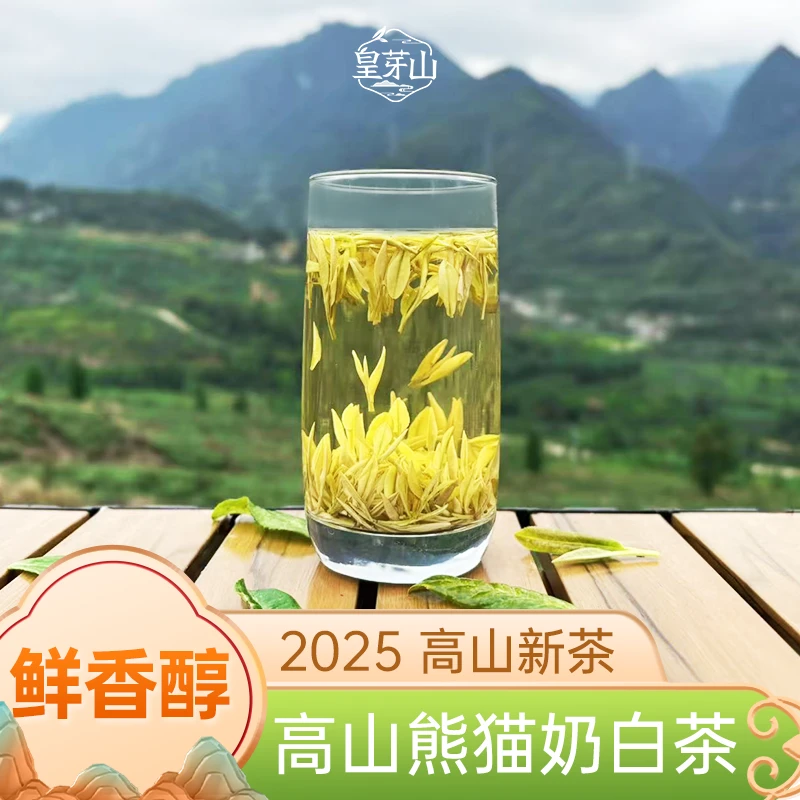 鲜香醇四川雅安皇芽山白叶二号高山云雾奶白茶-原产地