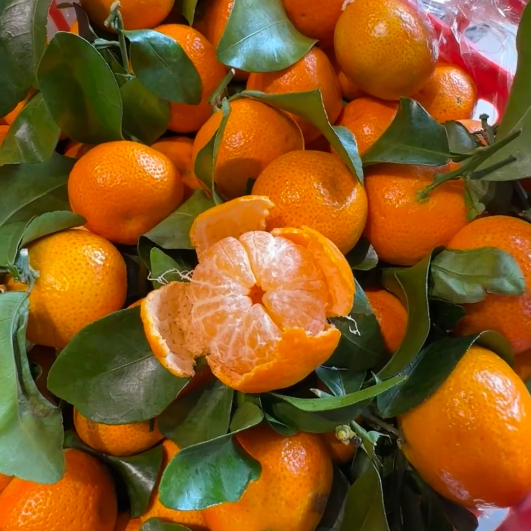 【爆甜新鲜】正宗广西砂糖橘3斤装