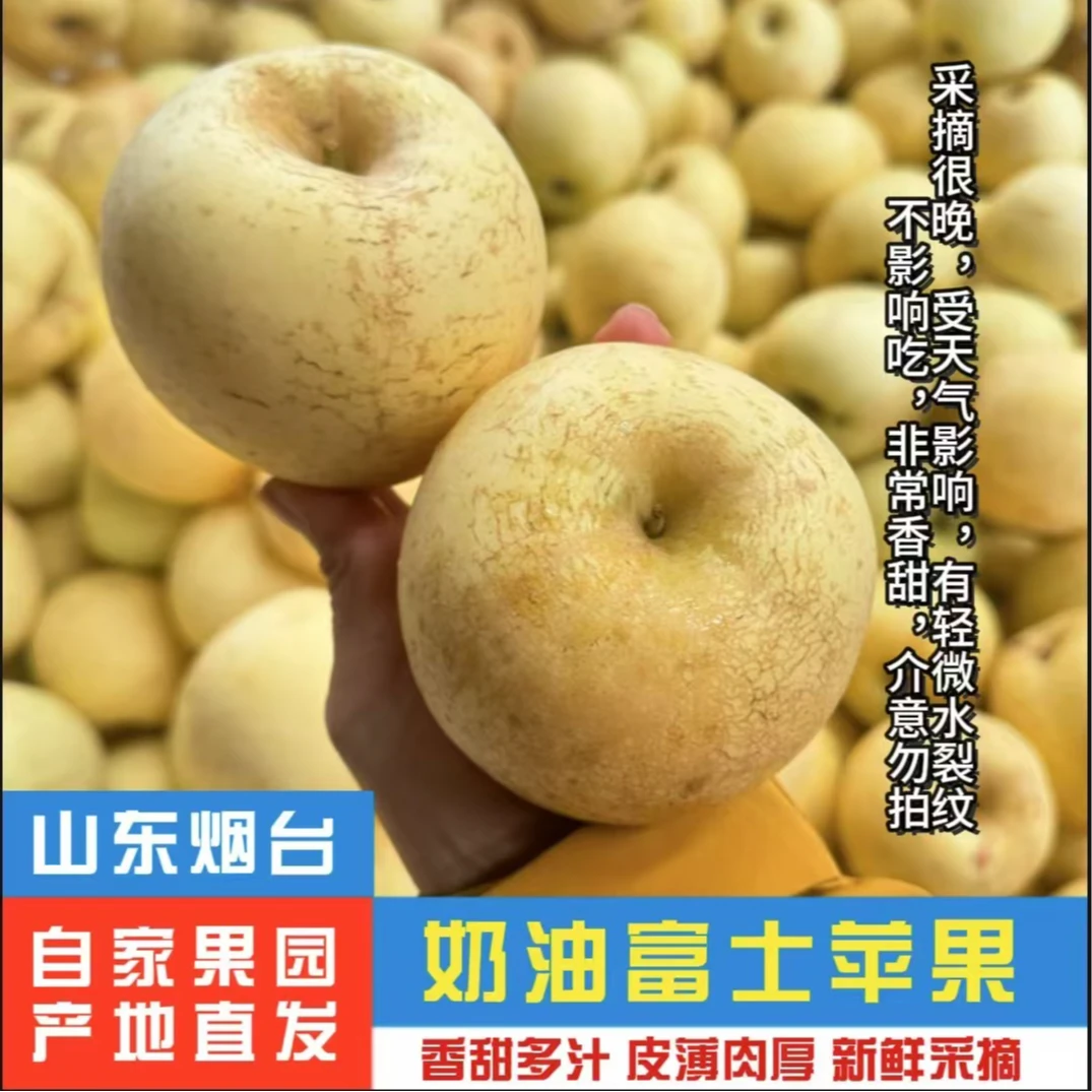 【带箱约5斤】☆☆黄金奶油富士 山东烟台产地直发 当季新鲜