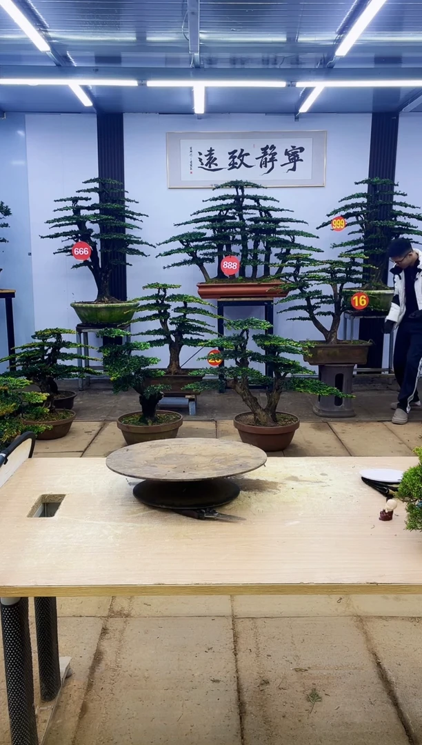 无花朵山*?000000000000000