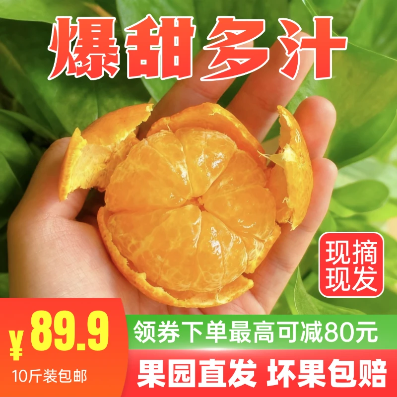 【精选好果】现摘现发新鲜广西核心产区金秋砂糖橘纯甜无酸一口爆汁