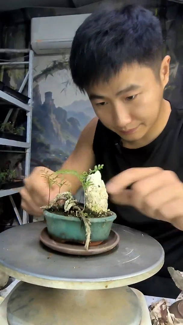 欣*中青园艺一物一拍265
