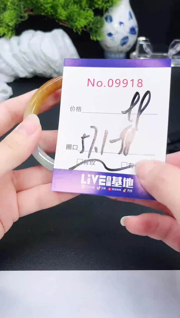 未镶嵌手镯翡翠9918