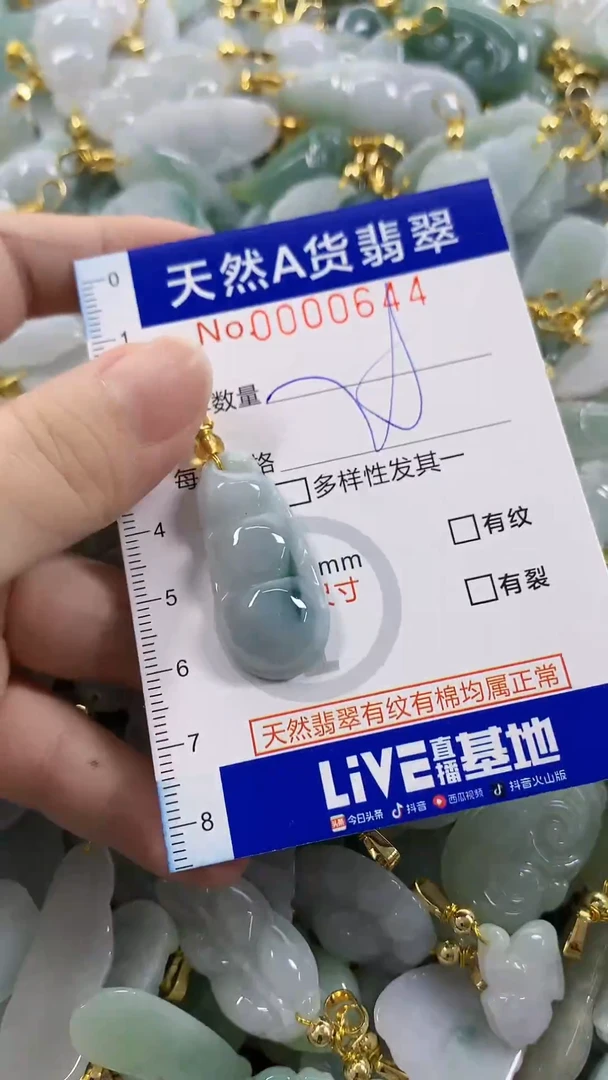 颈饰未镶嵌翡翠天然A货翡翠