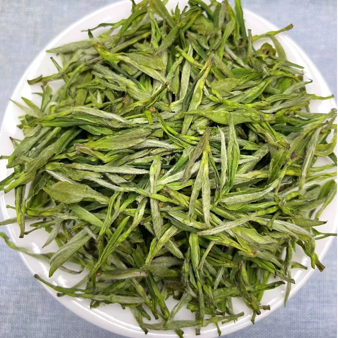 2025年新茶  毛峰绿茶 浓香耐泡兰花香 H260款 250g/500g