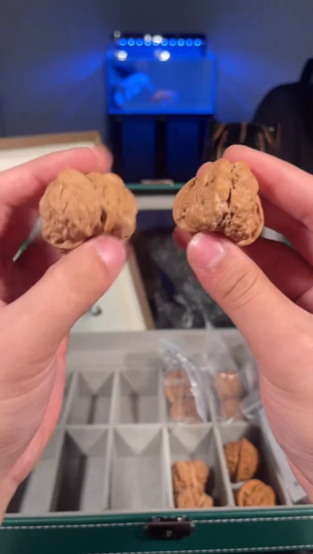 【闪购商品】文玩核桃把件蛤蟆头2