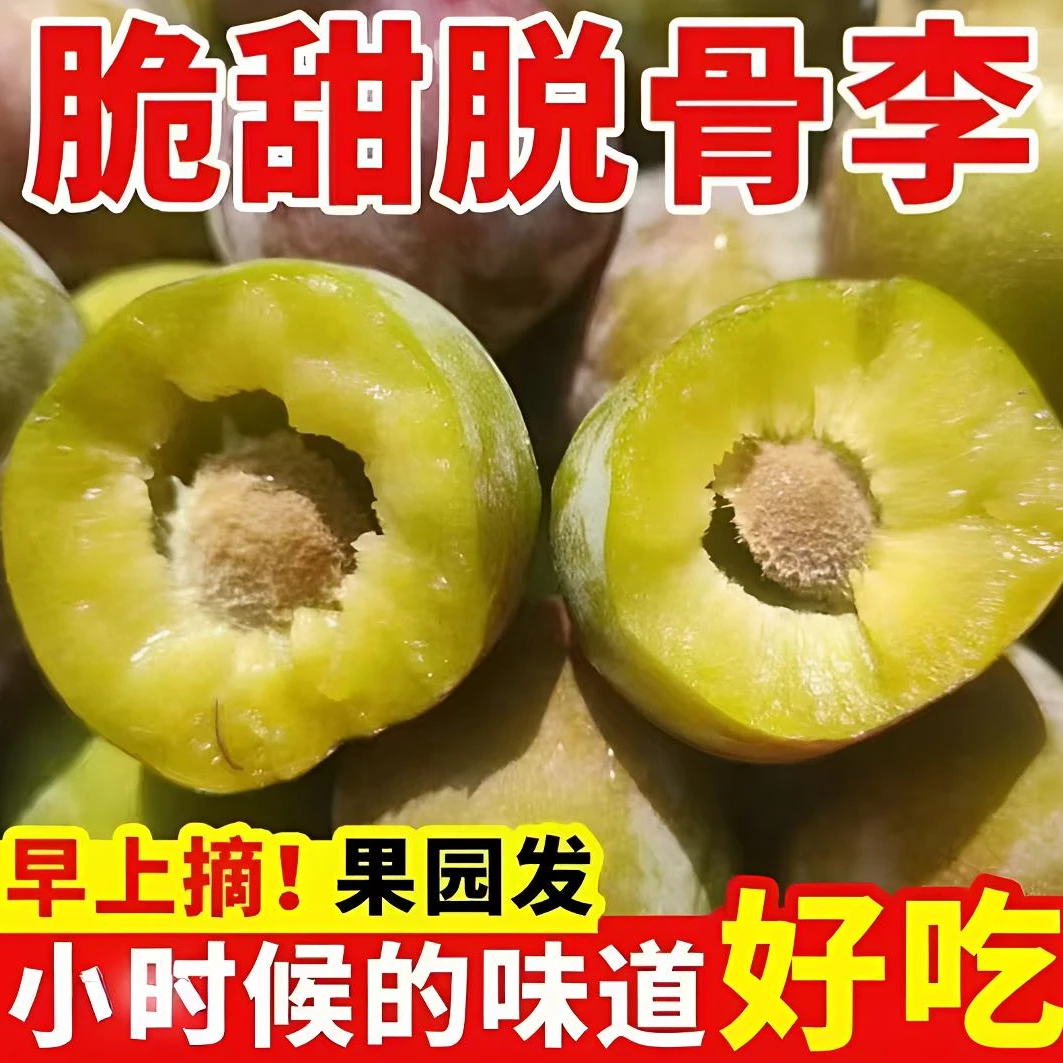 正宗脱骨李新鲜应季水果脆甜多汁小脆红-现摘现发多仓发货