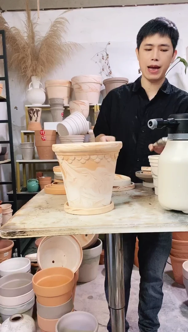 20*19玛奇朵巴洛克 1盆1托