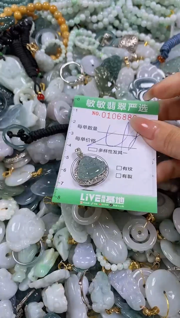 【闪购商品】翡翠颈饰未镶嵌闪购0106886多样性发其一