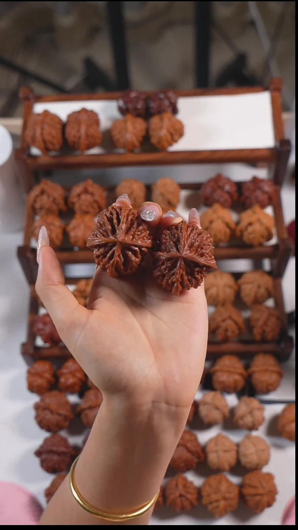 核桃野牛四棱66666