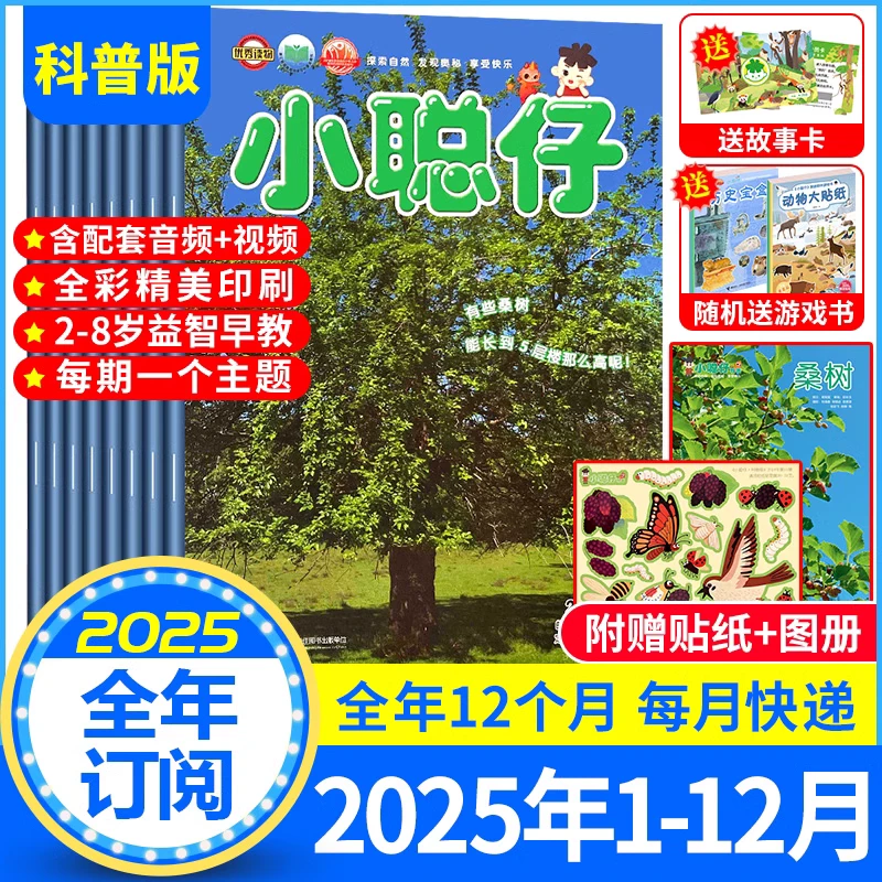 小聪仔版2024/2025年2-8岁幼儿兴趣智力现货儿童儿童图书杂志