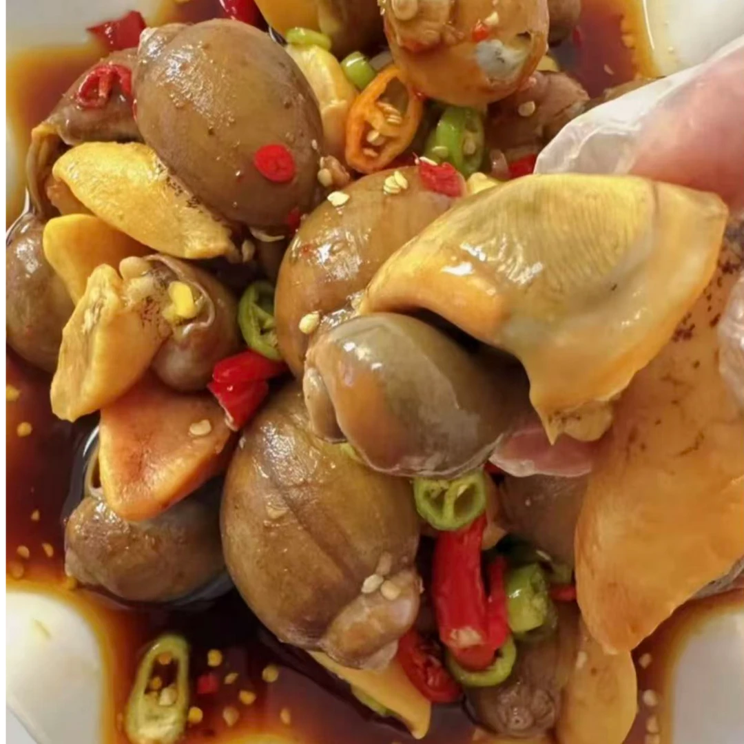 大连野生 假鲍鱼（老婆脚螺）净重3-4斤 【顺丰发货】