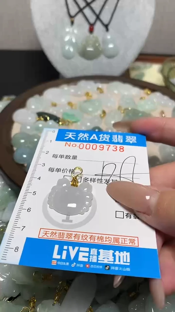 翡翠未镶嵌颈饰净货挂件-9738