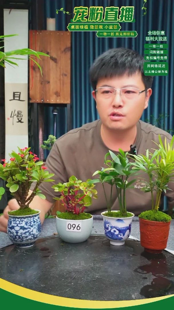 无花朵?****?苔藓微景观096号