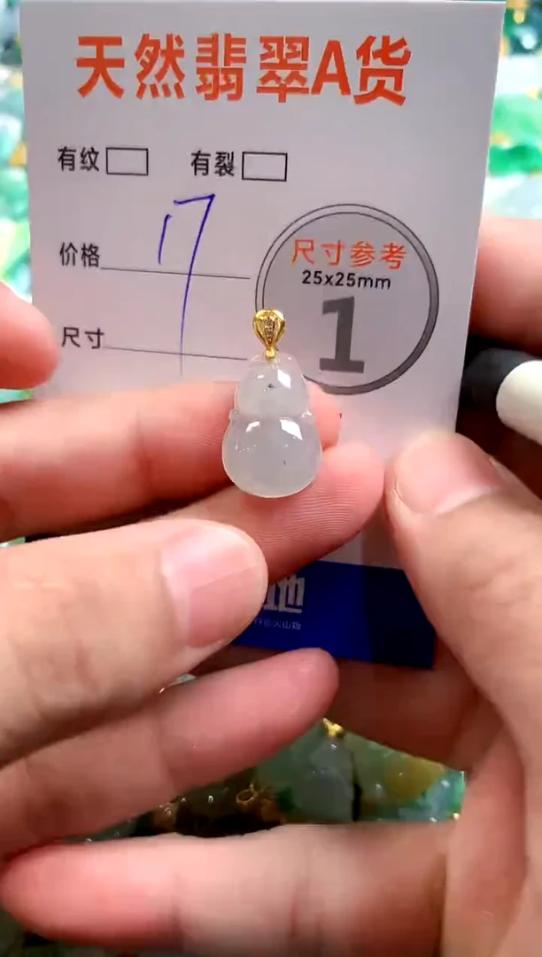 颈饰未镶嵌翡翠14000841