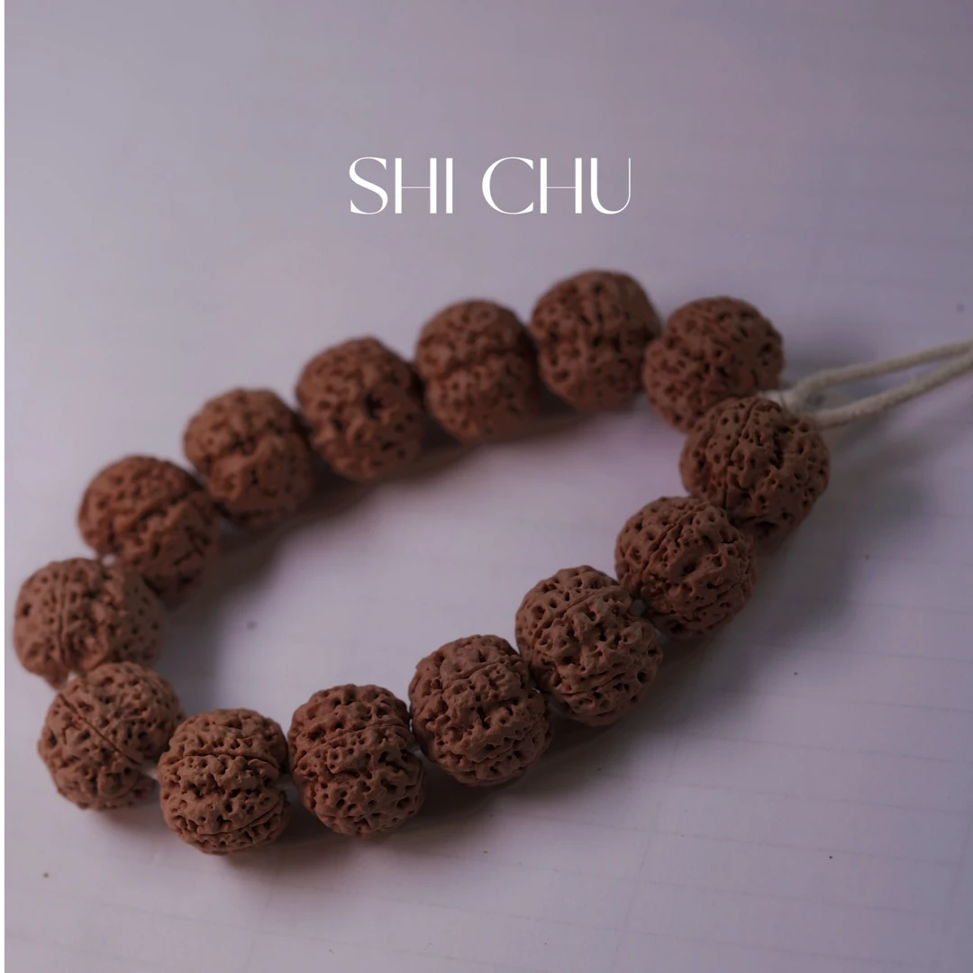 【世楚文玩】五星魔丸蜂王大金刚 盘来好运 C4861 W/Z