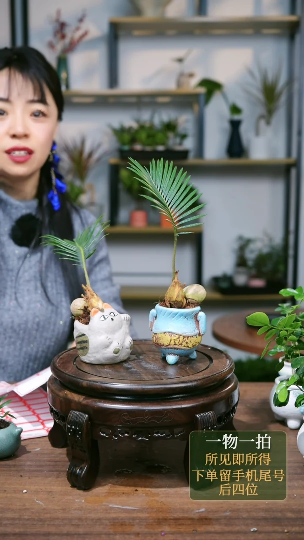 【闪购商品】189--3505招财猫铁树