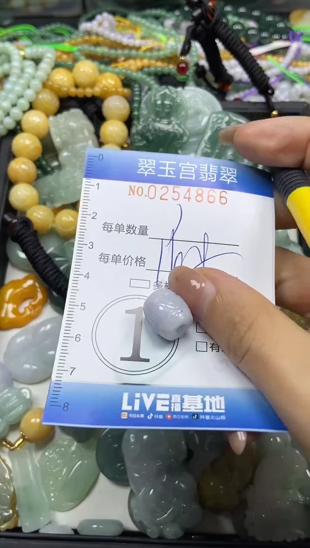 颈饰未镶嵌翡翠闪购C0254866