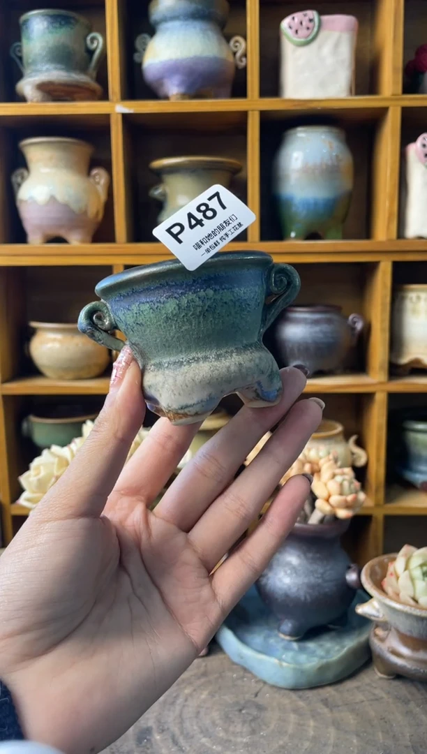 487内口5【多肉花盆多肉盆】