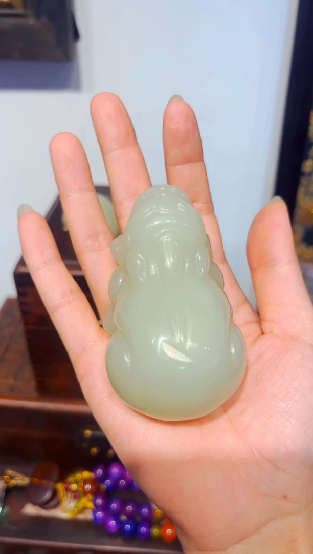 纯粹开播壹号一一一貔貅