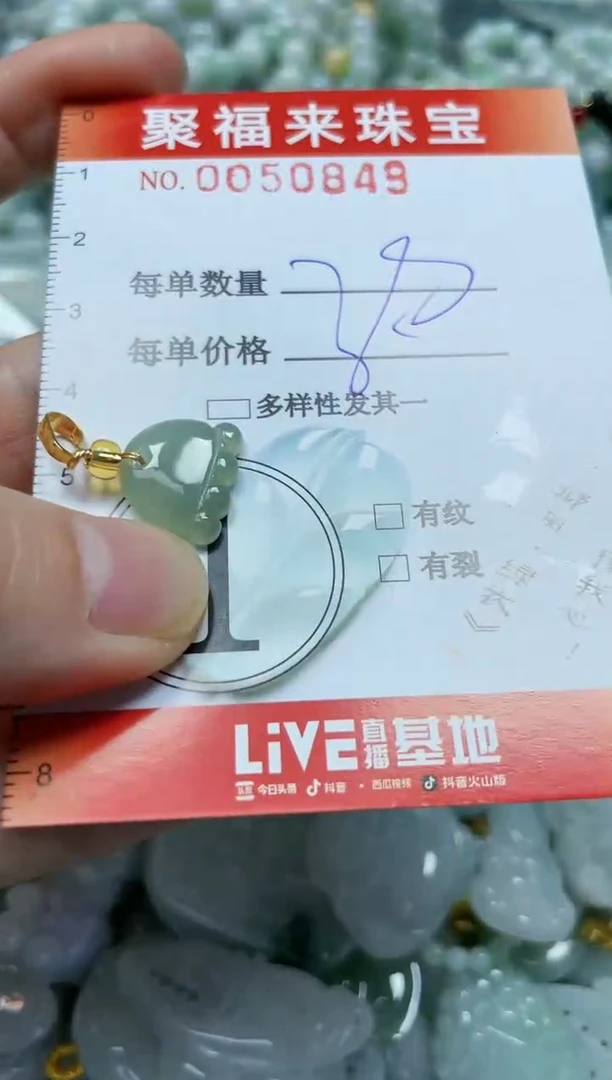 【闪购商品】翡翠颈饰未镶嵌闪购0050849