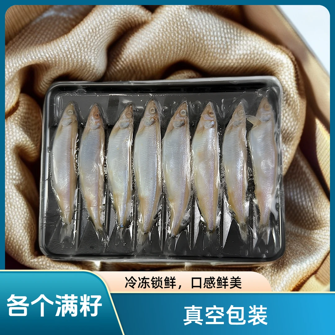 深海冷冻多春鱼满籽大号新鲜海捕烧烤日料8条一盒福利单品