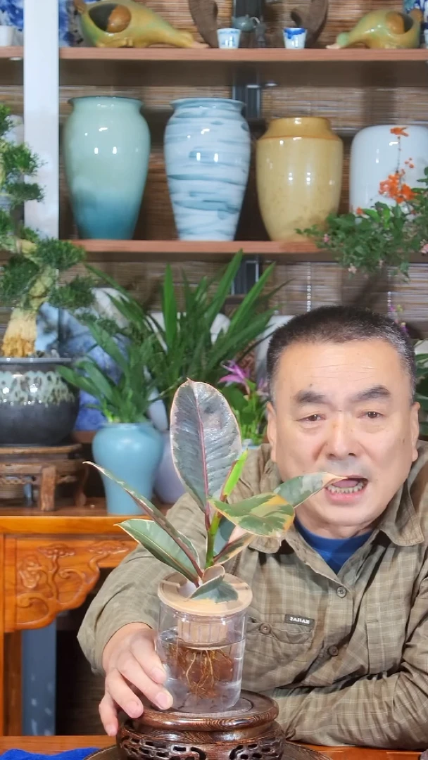 无花朵7**8水之韵水培红关公