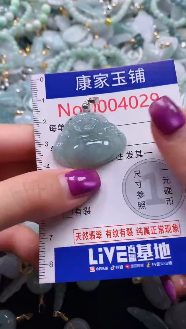 颈饰未镶嵌翡翠4029