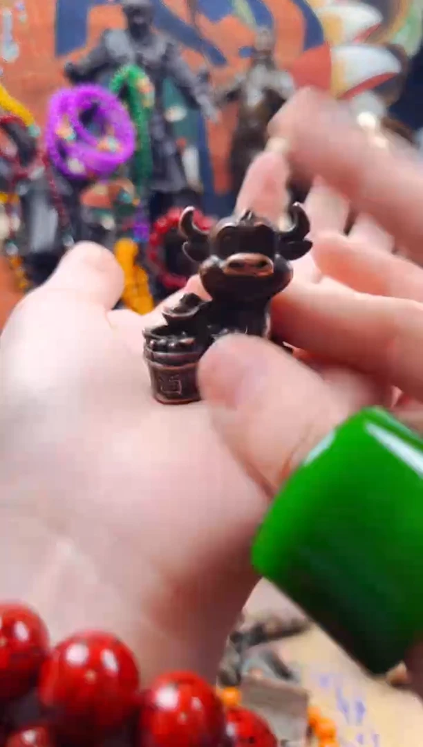 【闪购商品】飞姐专属精品推荐