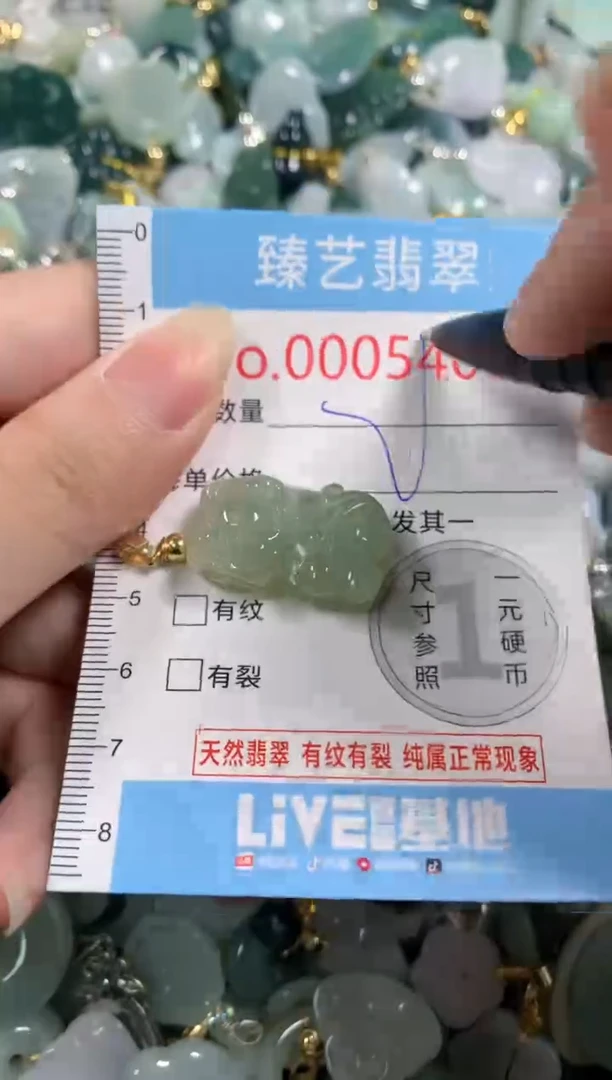 吊坠(不含链)未镶嵌翡翠5405