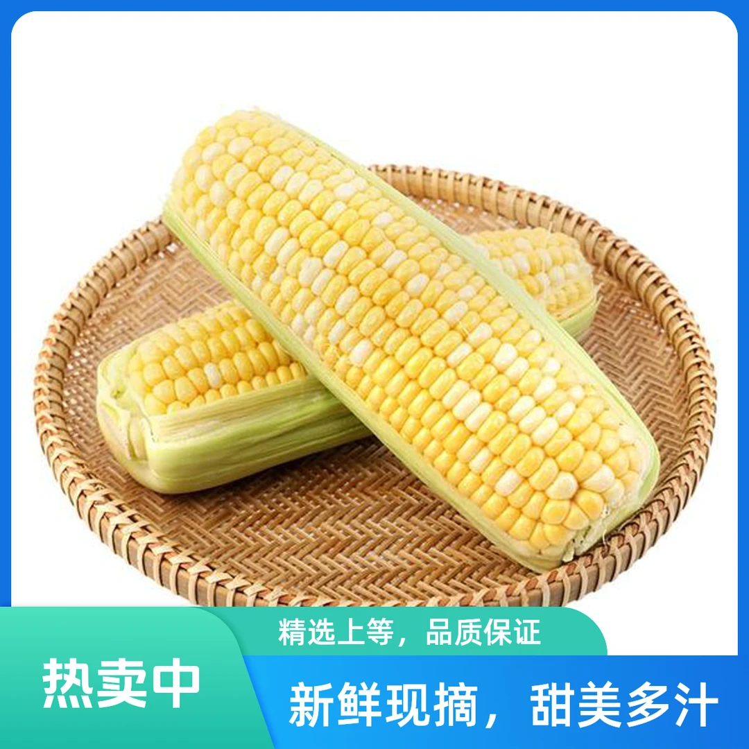 水果甜玉米1000g±50g份