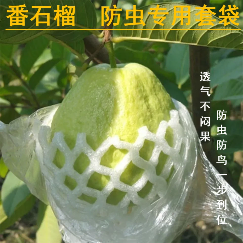 番石榴保护套袋石榴套袋芭乐网套套袋无毒加厚透气薄膜袋防虫套袋