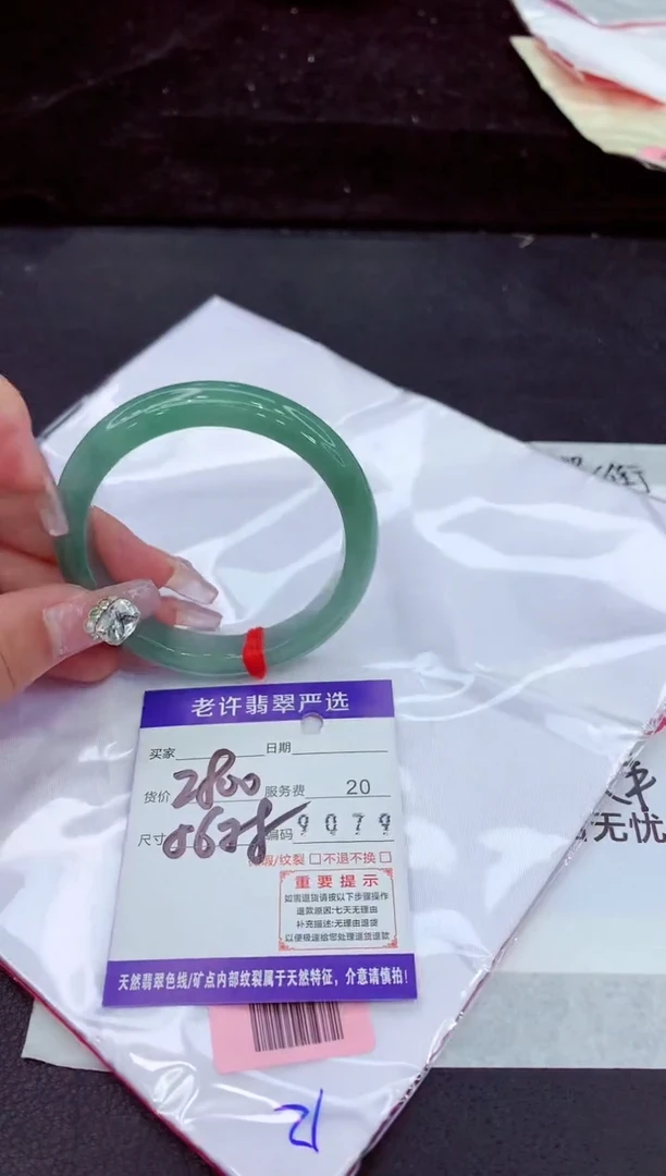 未镶嵌手镯翡翠1