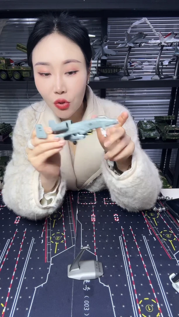 1/100合金飞机模型A10模型