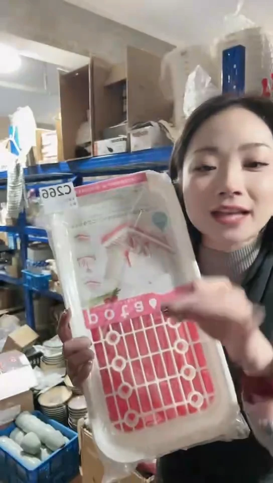 【闪购商品】瓷片进口家用百货沥水架C266