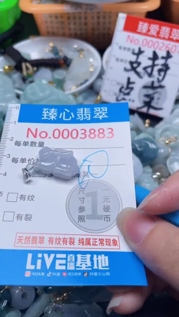 颈饰未镶嵌翡翠3893