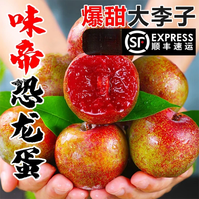 【新疆直发】新疆恐龙蛋杏李子味帝龟兹龙珠新鲜当季水果甜红布林
