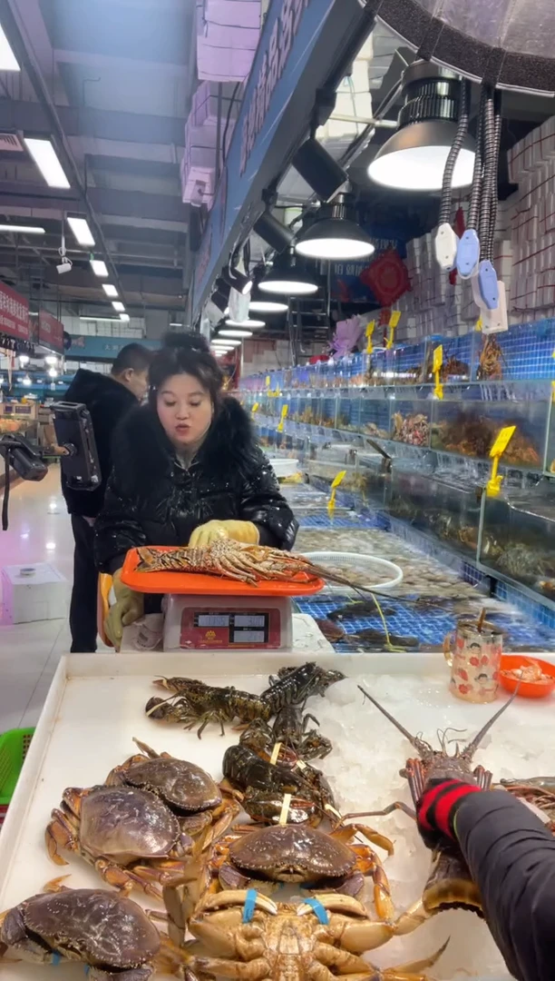 中国大陆断氧古巴龙1只，1.8斤