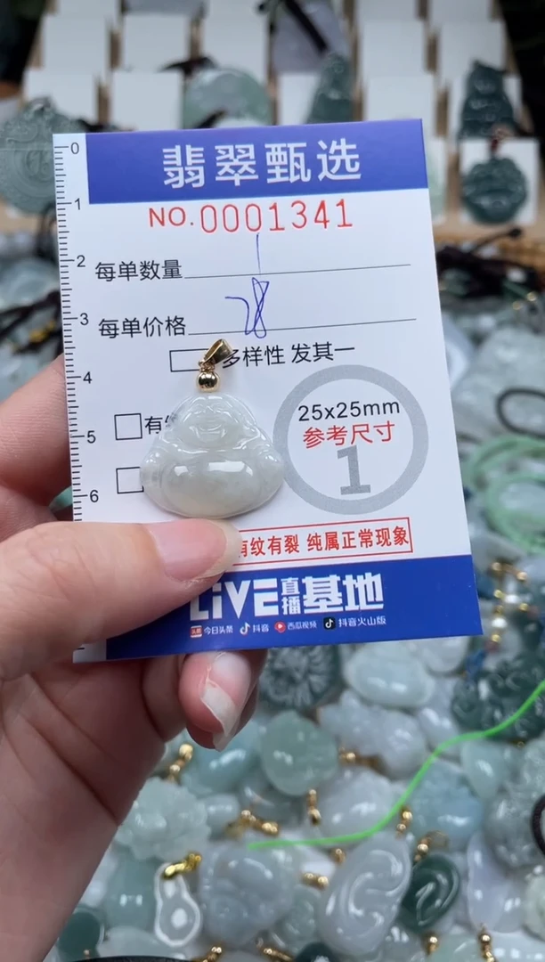 翡翠未镶嵌颈饰00..1341