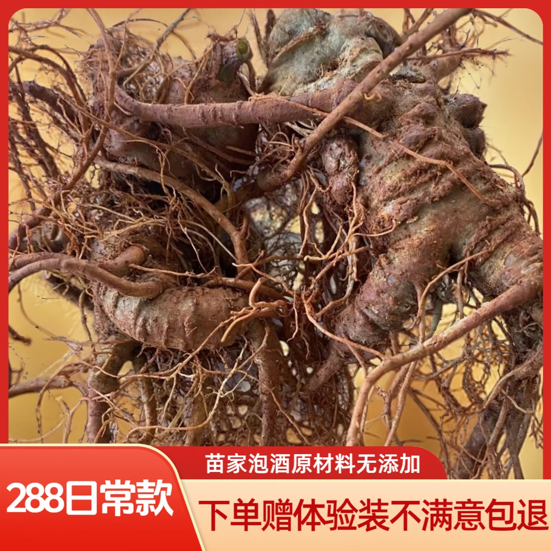 福利款【可反复循环泡】苗家初级原材料男士滋补可反复泡十五斤