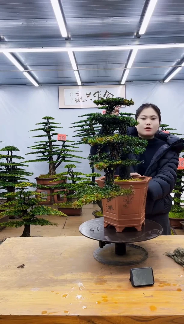 无花朵一物一拍·所见即所得