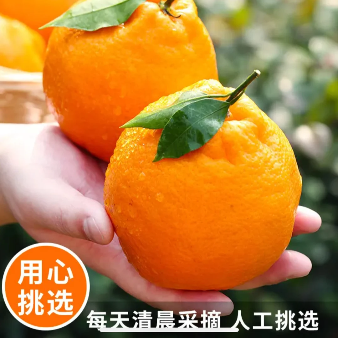 【璐璐专属】5斤装春见耙耙柑的升级版大雅柑果园直发新鲜多汁柑橘