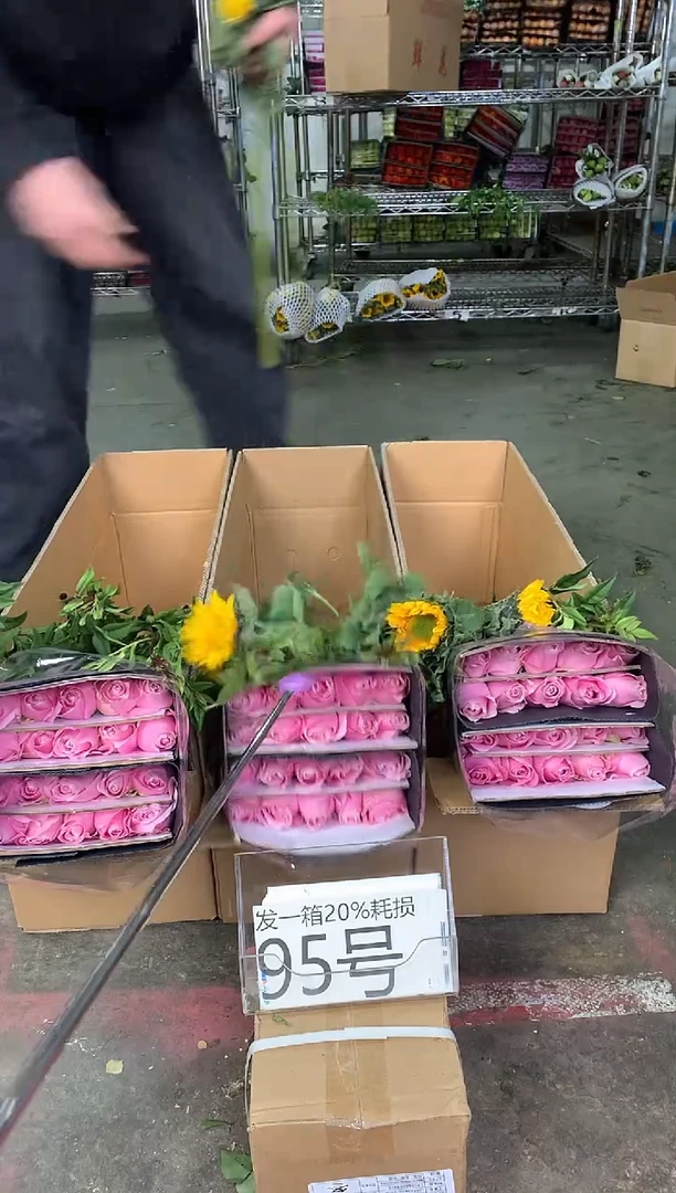 95号♥中通含20%耗损发一箱
