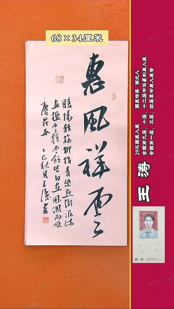 书法18a王涛书法作品