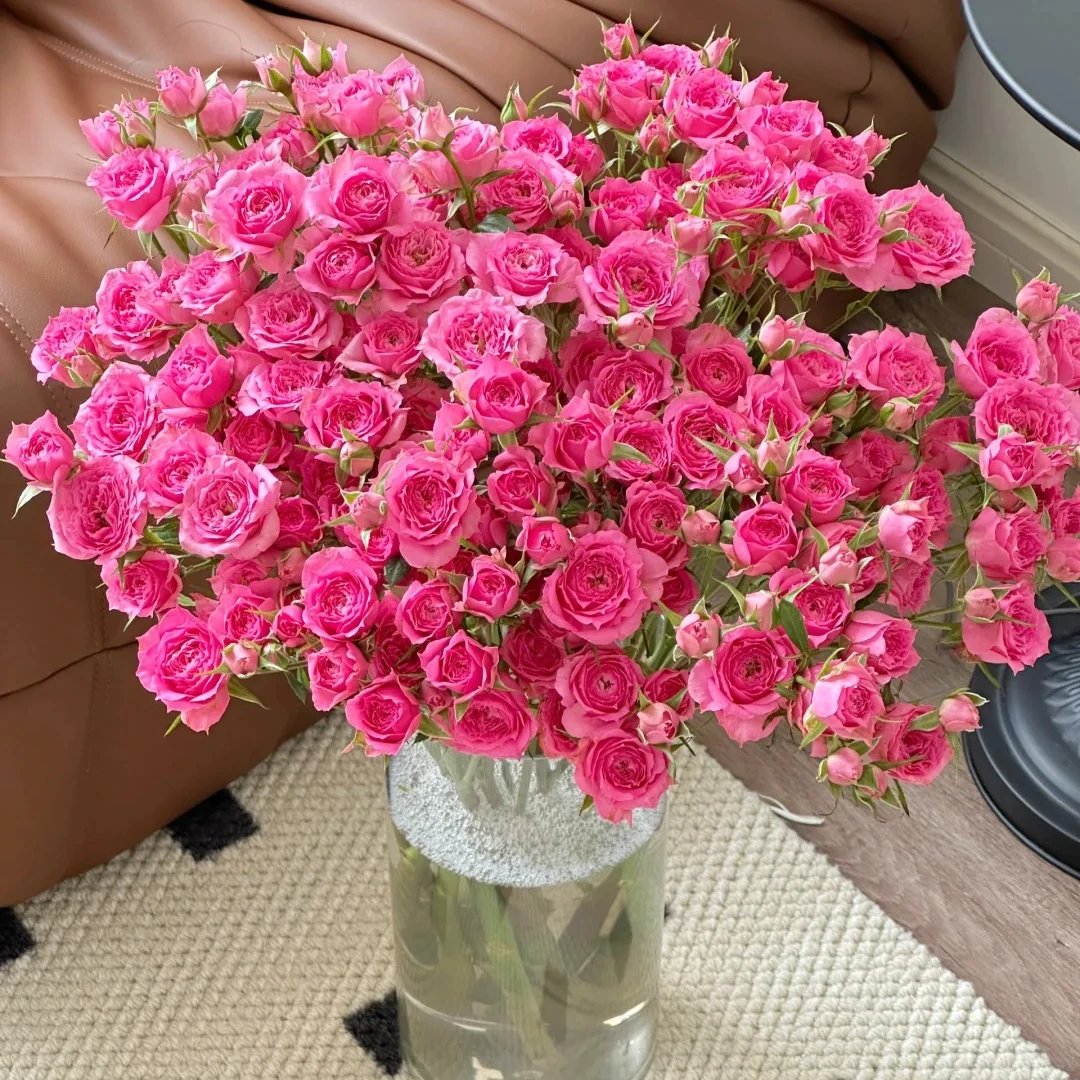 【花王朝】苏菲多头玫瑰鲜花水养插花鲜切花